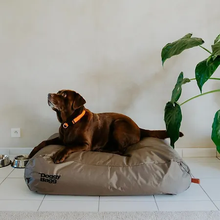 Appartement Prachtig, Rustig En Ruim Vlakbij Zee Coxyde