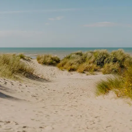 Prachtig, Rustig En Ruim Vlakbij Zee Coxyde